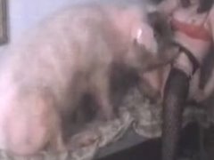 Mulher transando com um porco