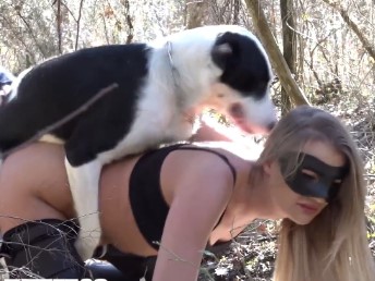 Novinha faz zoofilia com cachorro escondido na floresta